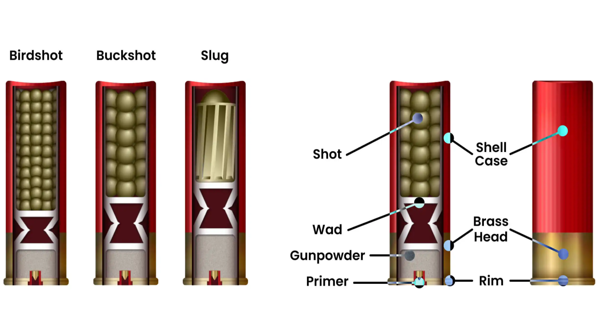 How To Draw A Shotgun Shell How To Draw A Shotgun Shell
