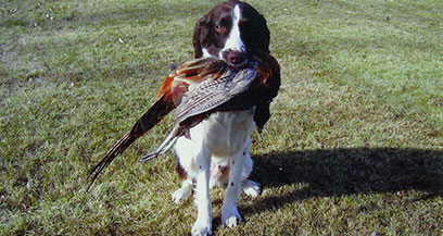 Fletcher with Pheasant