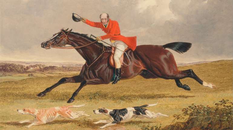 How to Skin and Clean a Rabbit | NRA Family