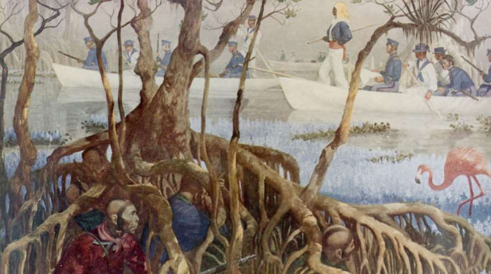 seminole_war_in_everglades.jpg