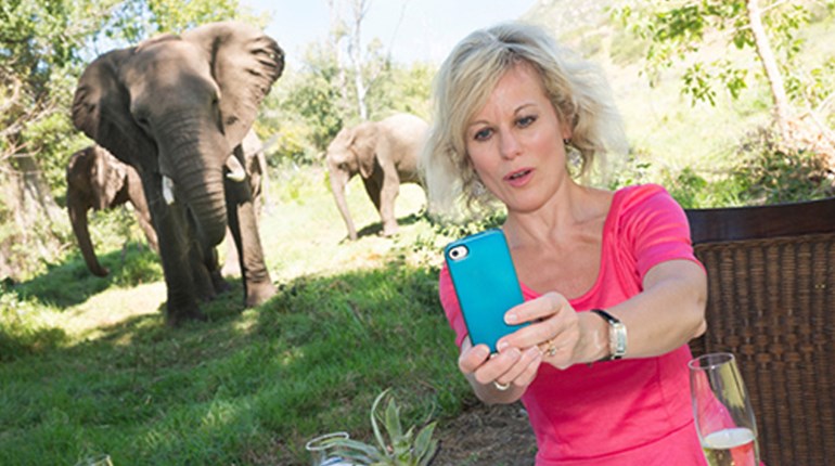Please Do Not Take Selfies with the Bull Elk | NRA Family