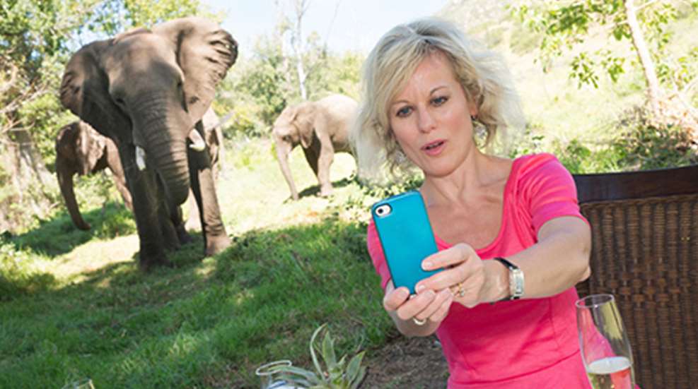 selfies.jpg