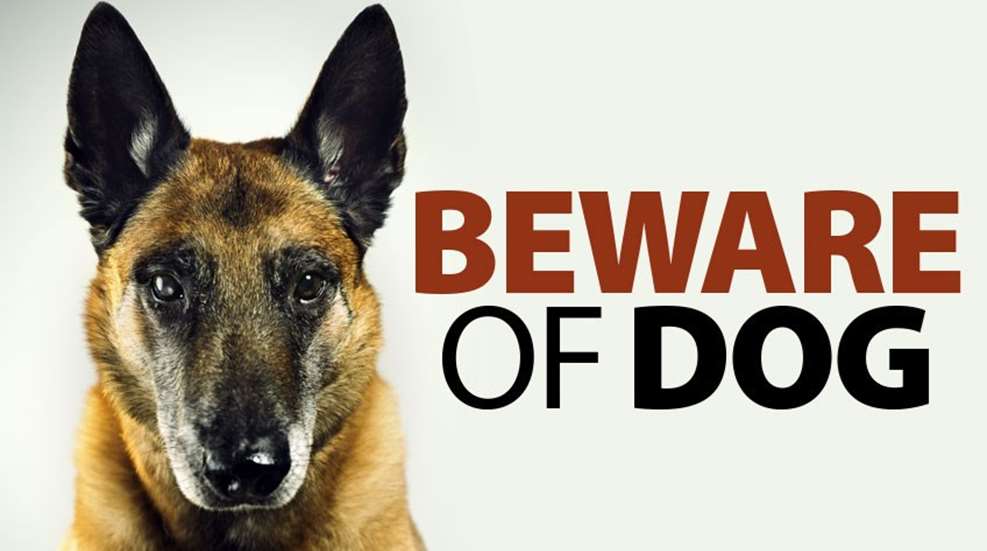 beware-of-dog.jpg