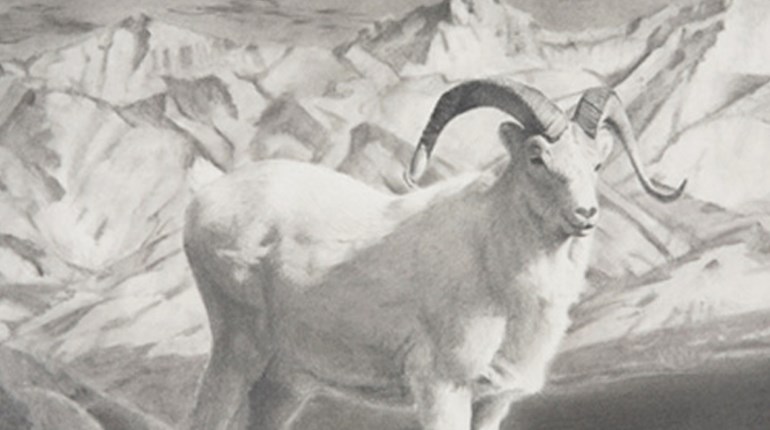 Poetry of the Primeval Gallery | NRA Family