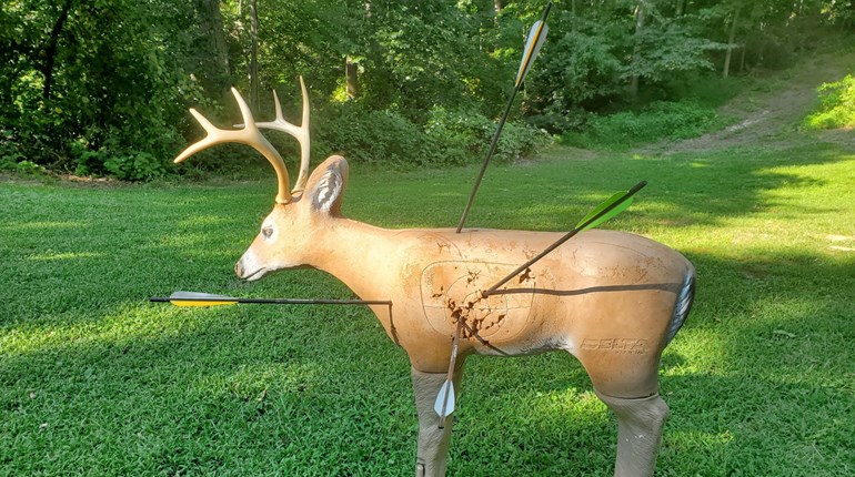 Hunting How-To: Shot Angles & Why They Matter | NRA Family