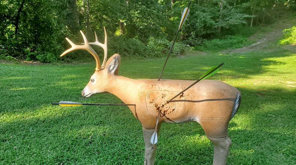 Fike Shot Angles Target