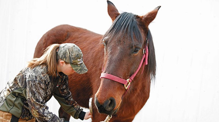 Use a Horse to Hunt | NRA Family