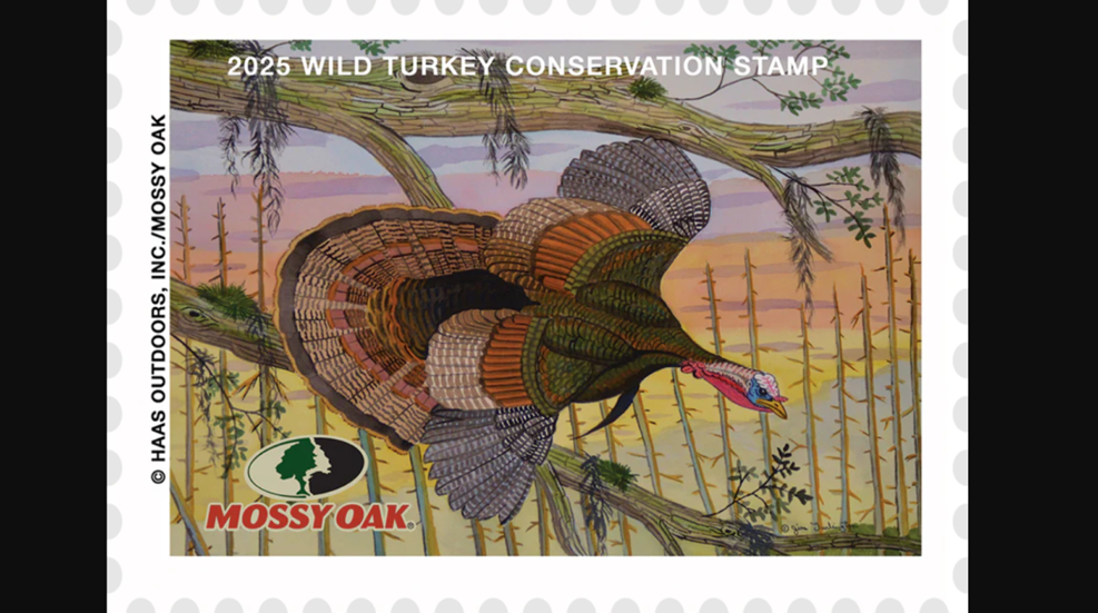 2025 Mossy Oak Wild Turkey Stamp