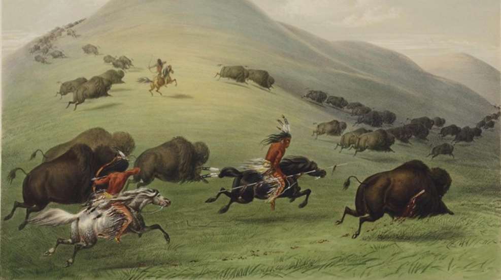 george-catlin-buffalo-hunt.jpg