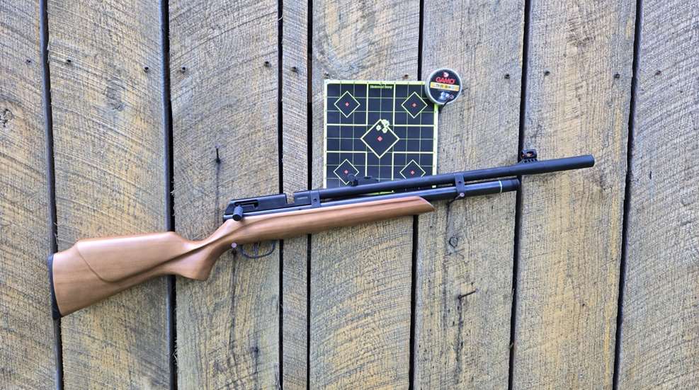 Beeman Raider With Target And Pellets