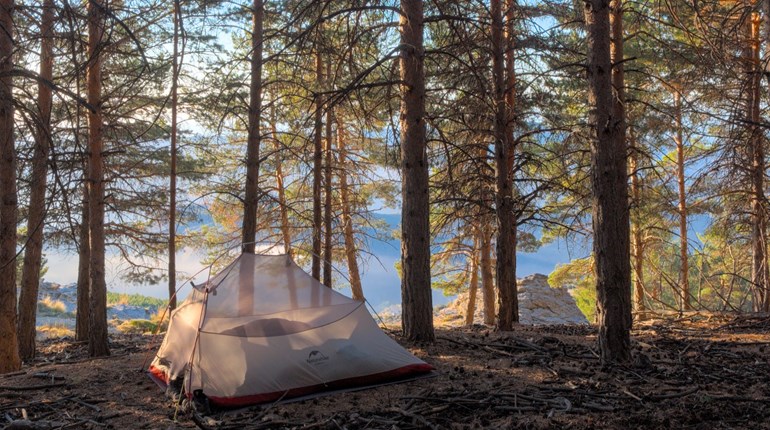 Magnificent 7: Must-Have Items for Your Camping Adventure | NRA Family